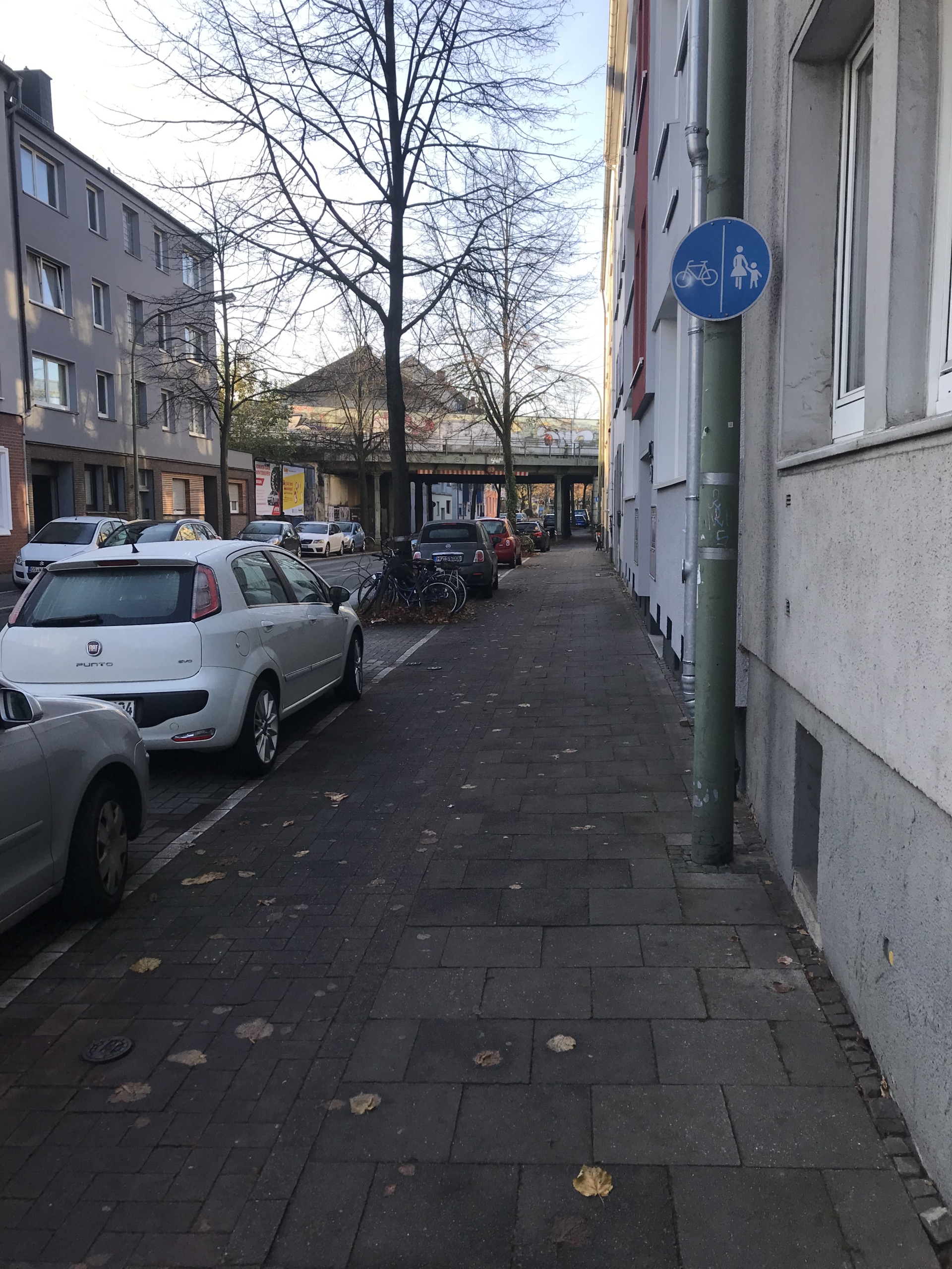 Fahrradweg Sutthauser Straße